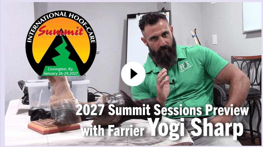 Yogi Sharp