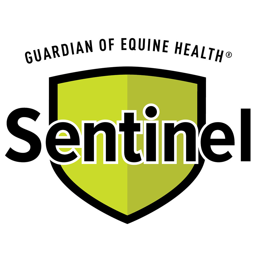 Sentinel-Logo.png
