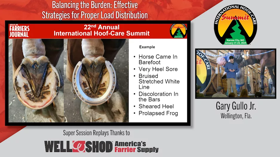 Balancing the Burden- Effective Strategies for Proper Load Distribution.png