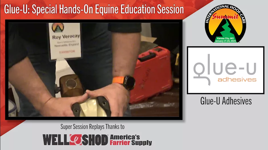 Glue-U- Special Hands-On Equine Education Session.png