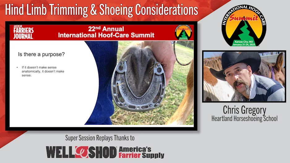 Hind Limb Trimming & Shoeing Considerations.png