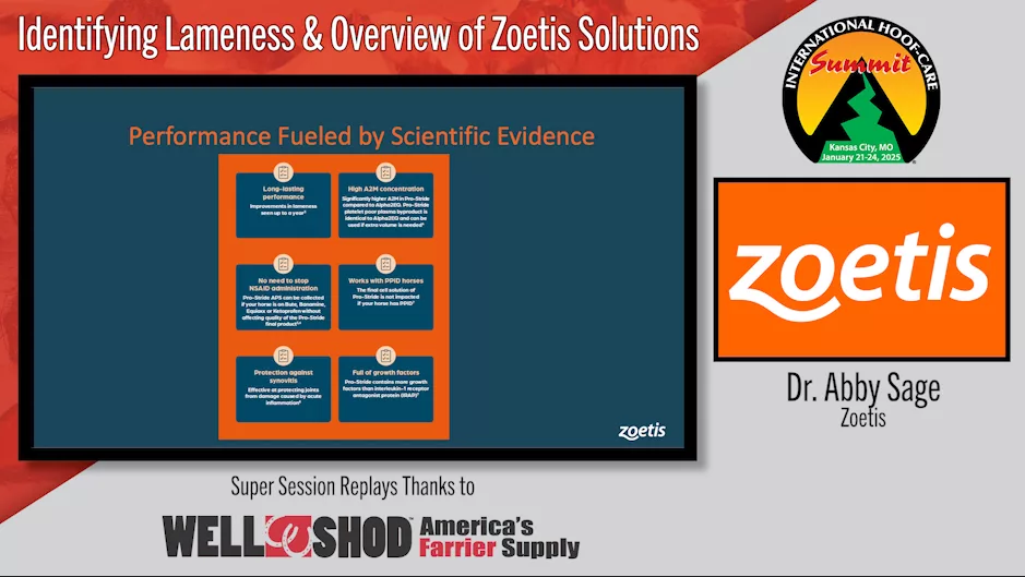 Identifying Lameness & Overview of Zoetis Solutions.png
