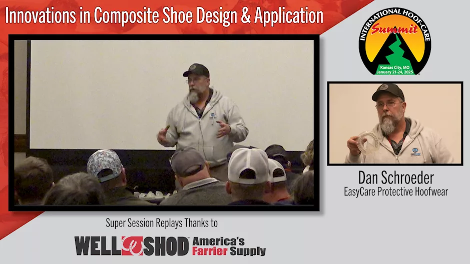 Innovations in Composite Shoe Design & Application.png