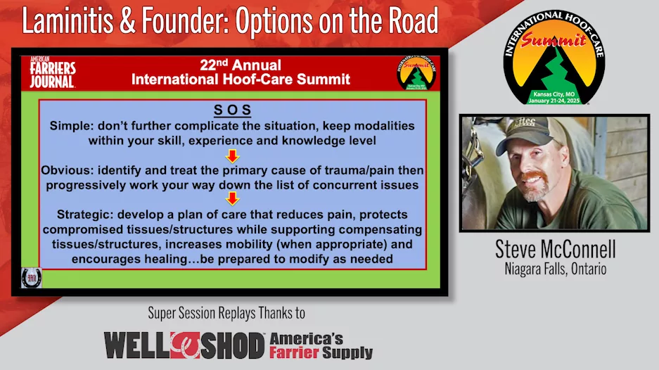 Laminitis & Founder-  Options on the Road.png