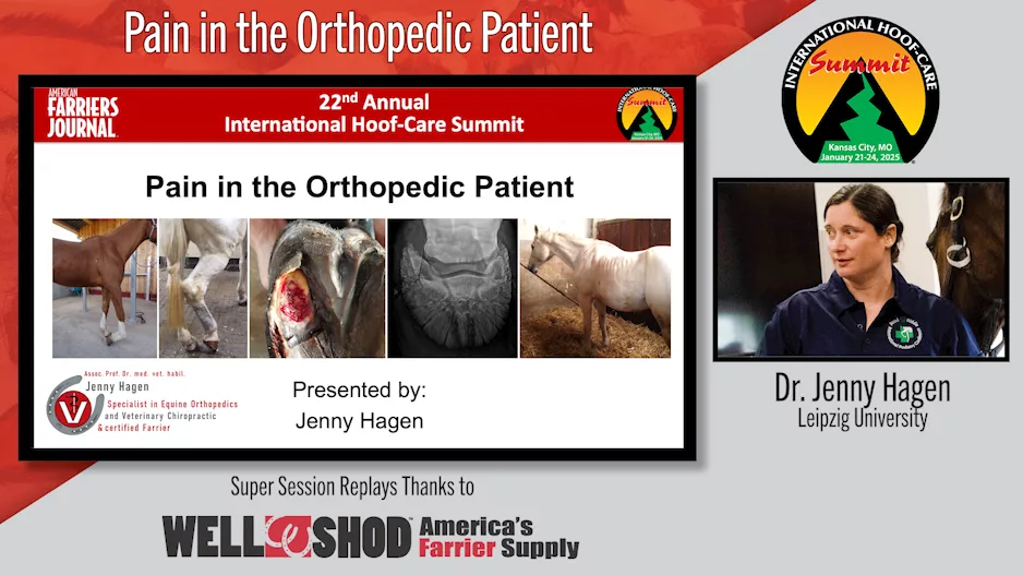 Pain in the Orthopedic Patient.png