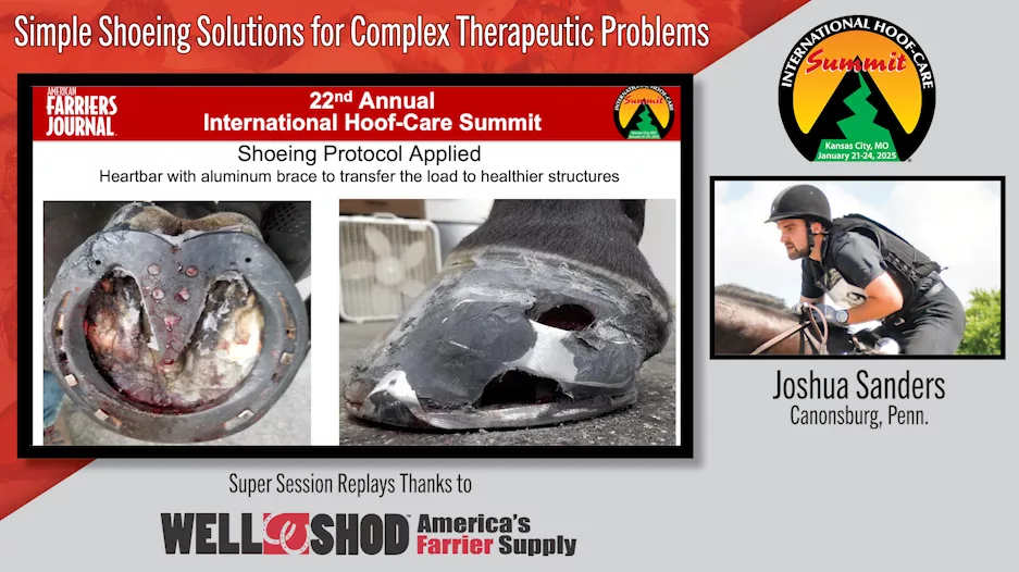 Simple Shoeing Solutions for Complex Therapeutic Problems.png