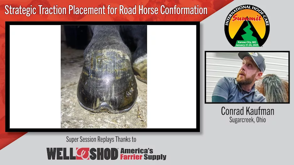 Strategic Traction Placement for Road Horse Conformation.png