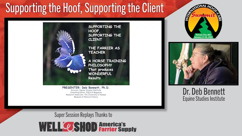 Supporting the Hoof, Supporting the Client.png