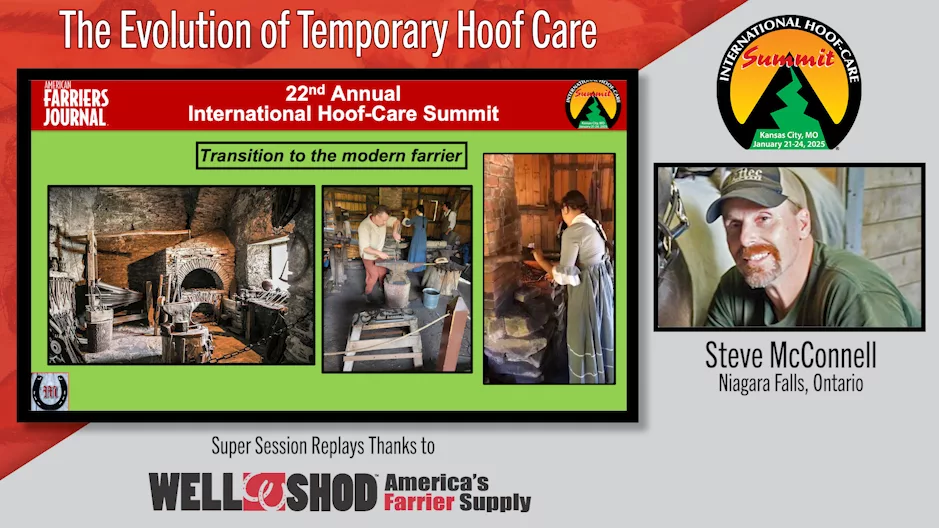 The Evolution of Temporary Hoof Care.png