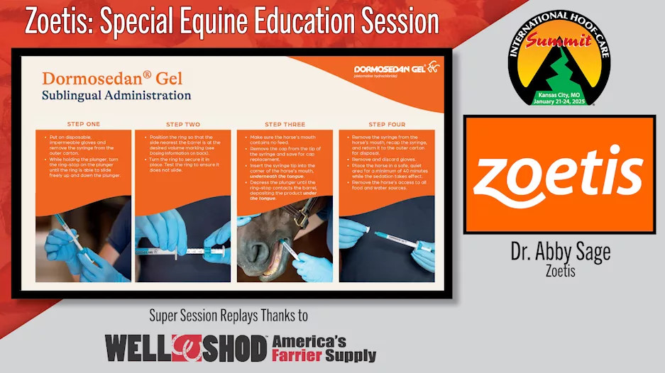 Zoetis- Special Equine Education Session.png