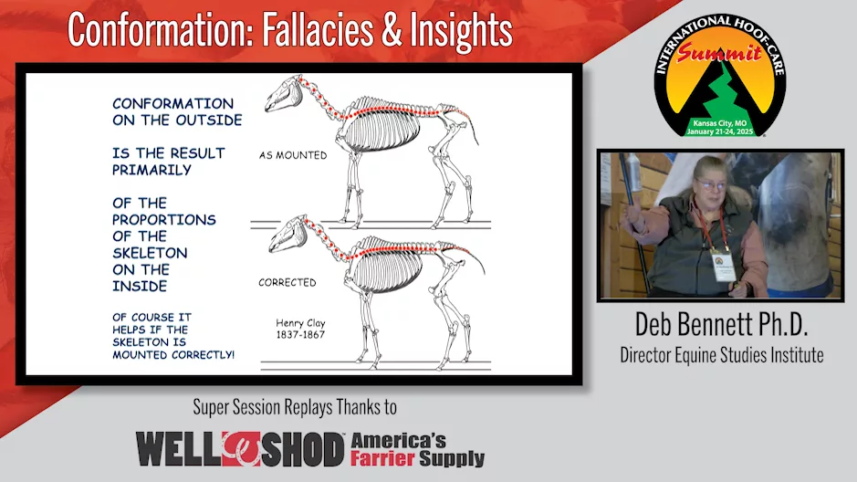 Conformation- Fallacies & Insights.png