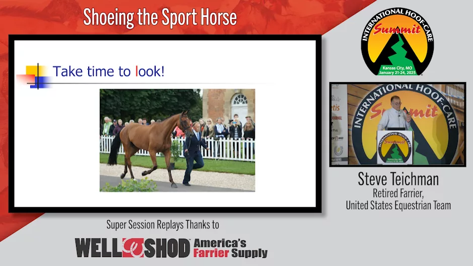 Shoeing the Sport Horse.png