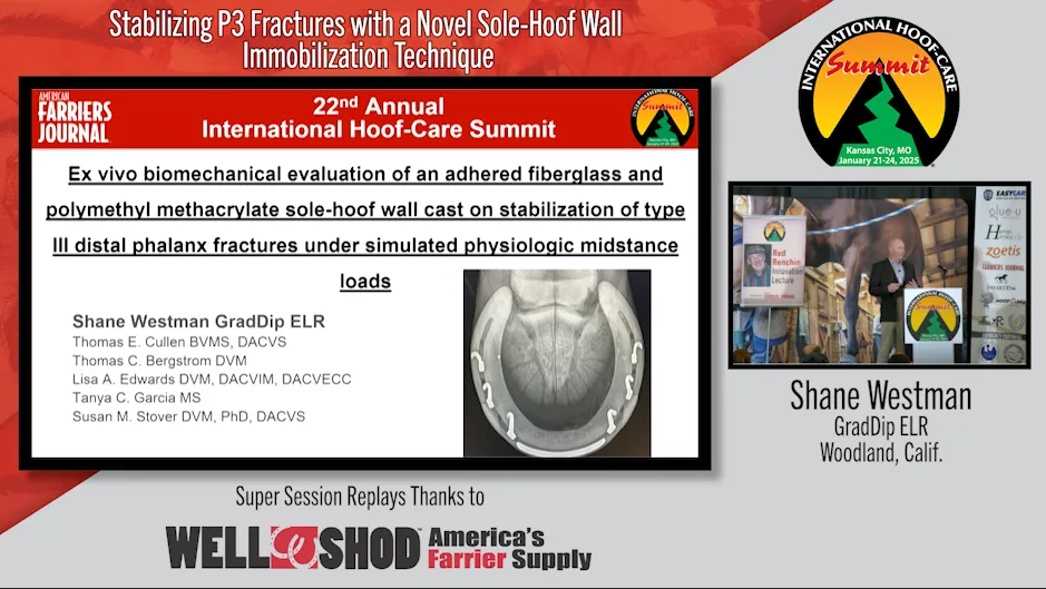 Stabilizing P3 Fractures with a Novel Sole-Hoof Wall Immobilization Technique.png