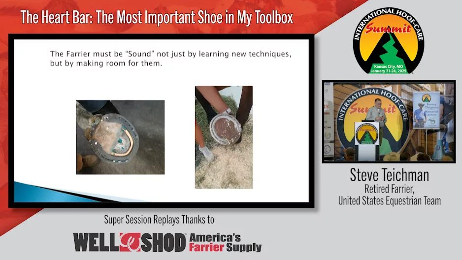 The Heart Bar- The Most Important Shoe in My Toolbox.png