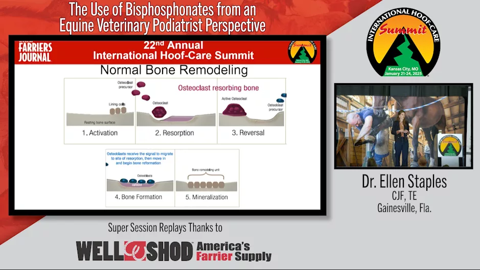 The Use of Bisphosphonates from an Equine Veterinary Podiatrist Perspective.png