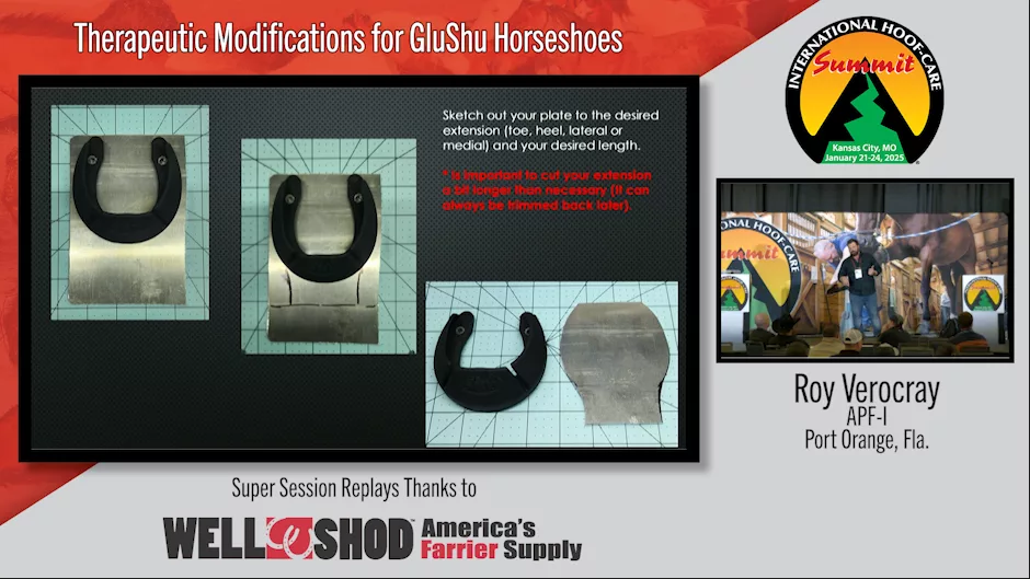 Therapeutic Modifications for GluShu Horseshoes.png