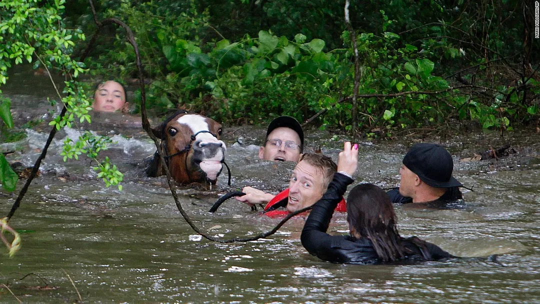 Justin Nelzen saves horses from flooding near Houston, Texas, on April 18, 2016.