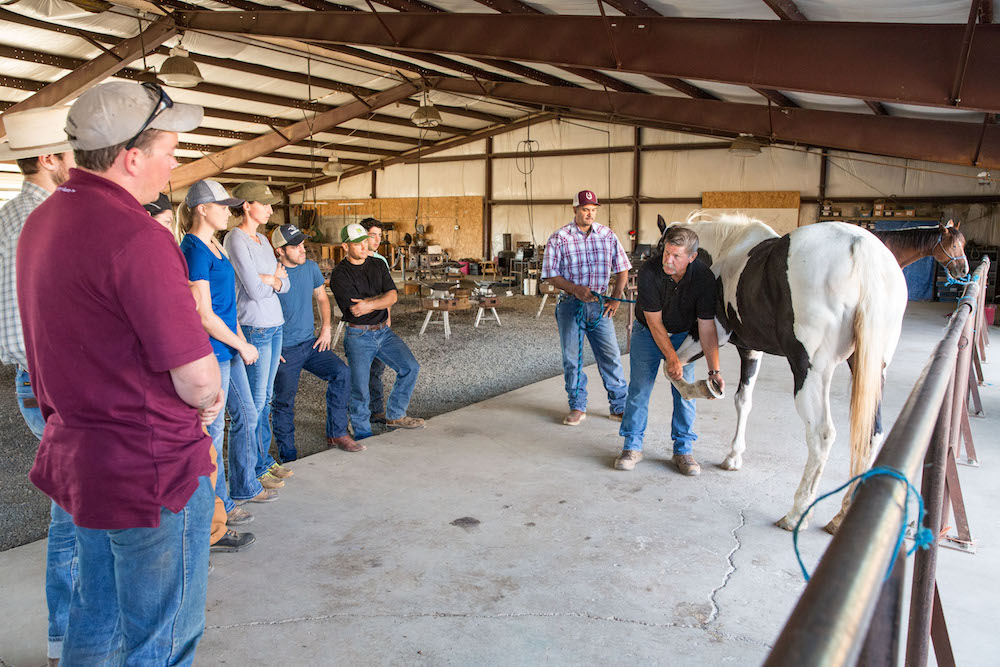How Much Does It Cost To Go To Farrier School School Walls