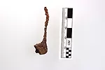 The nail discovered by Mitchell Young