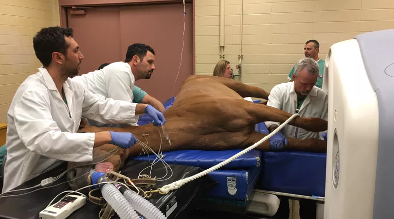 UC Davis CT table