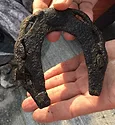 ancient horse shoe