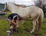 christieson farrier 1