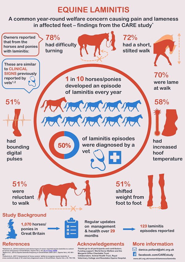 Study Reveals Laminitis Occurs As Frequently As Colic American