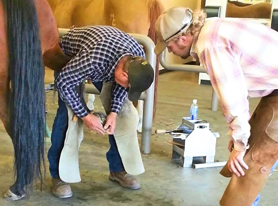 Farrier Science Program