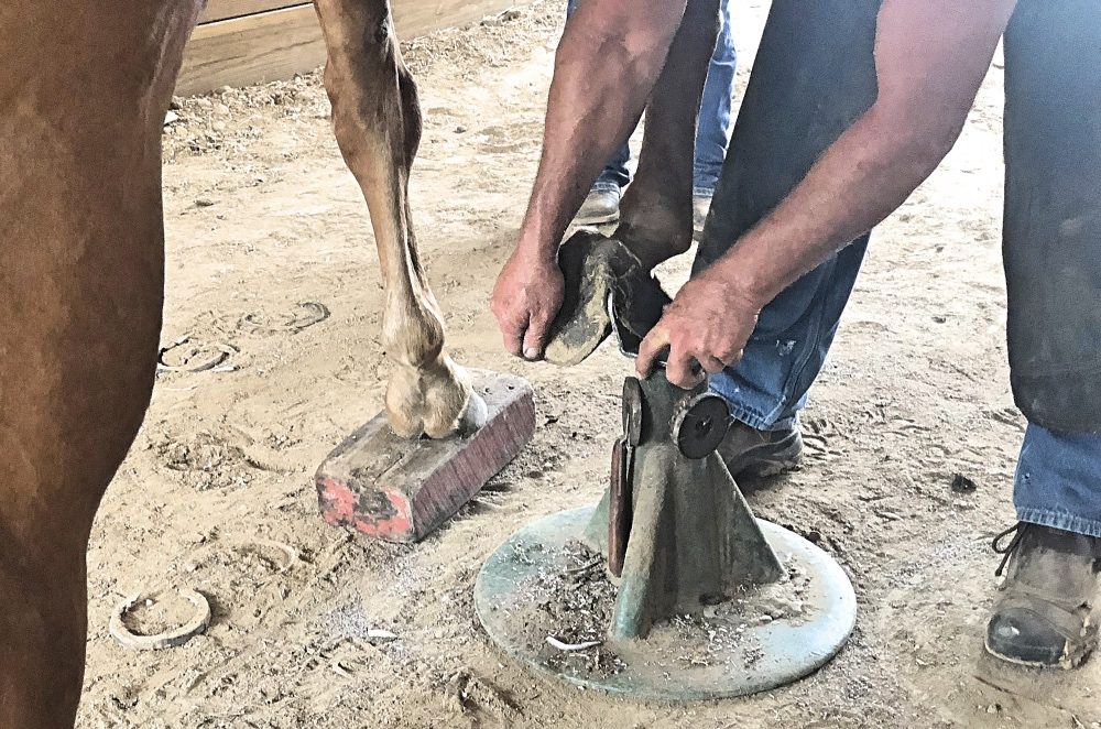 Help Yourself While Helping Arthritic Horses