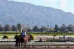santa anita park