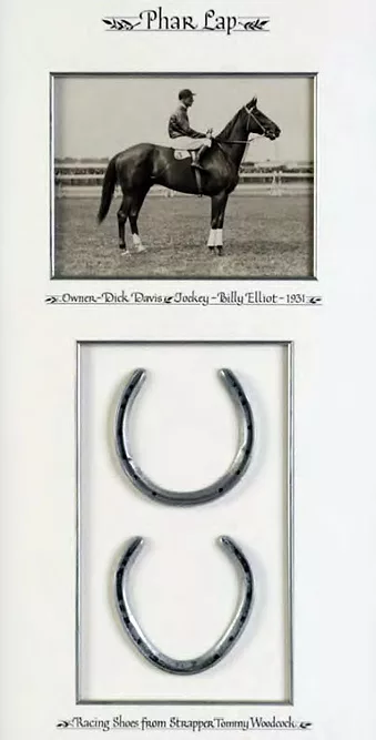 Phar Lap shoes