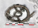Horse Snowshoe Lendbreen Ice Patch