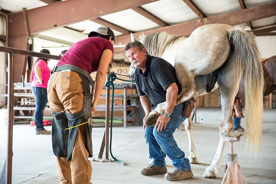 Oral Arguments Set for Farrier School’s Lawsuit Against California