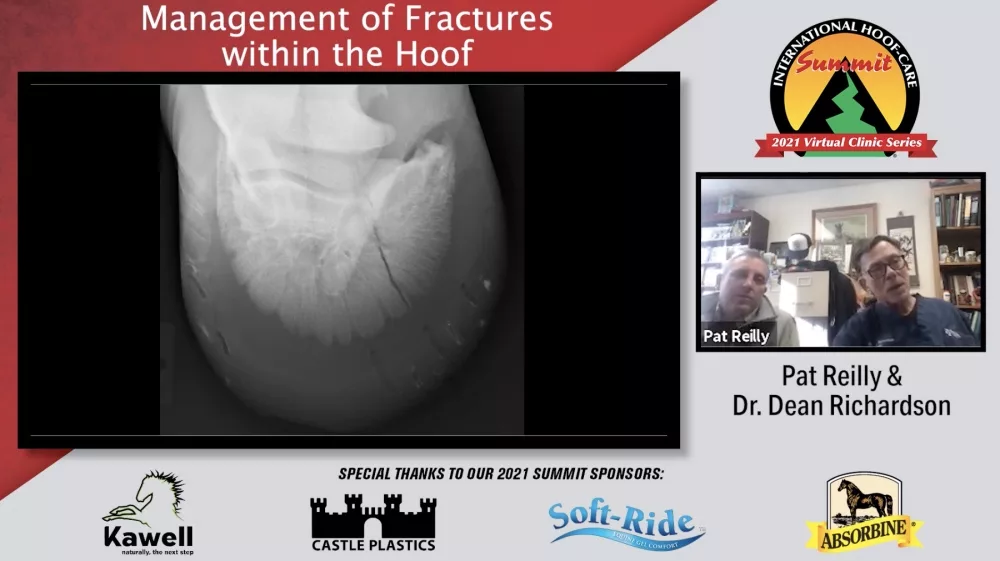 Hoof fractures