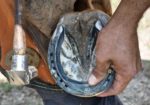 confidence in farrier pricing