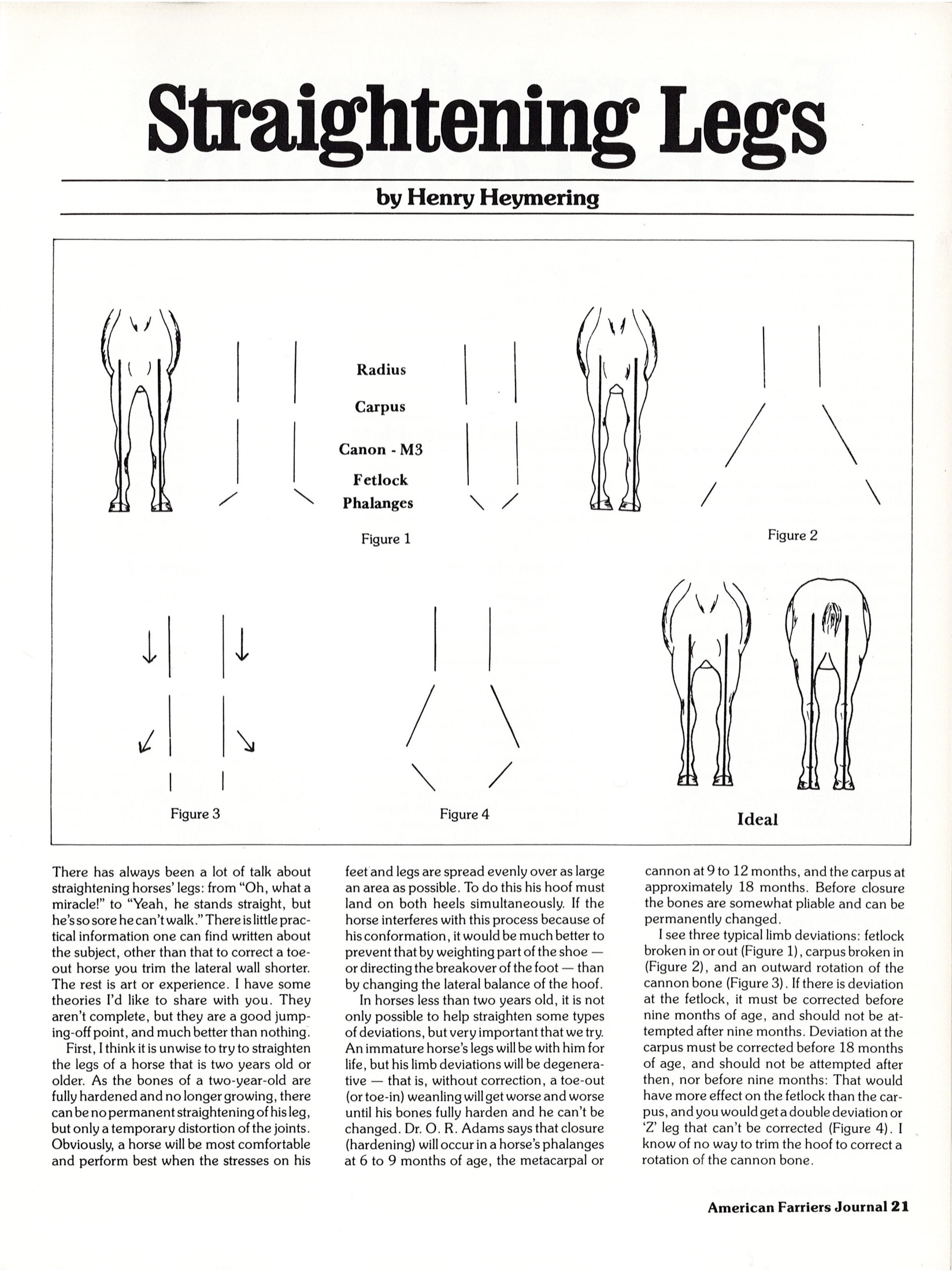 Straightening Legs by Henry Heymering