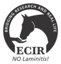_ECIR Logo Final2_10.jpg