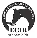 _ECIR Logo Final2_10.jpg