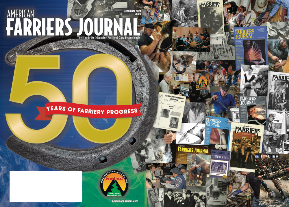 AFJ Readers Share Their What If Story