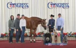 Peyton AAQHA Congress.jpg