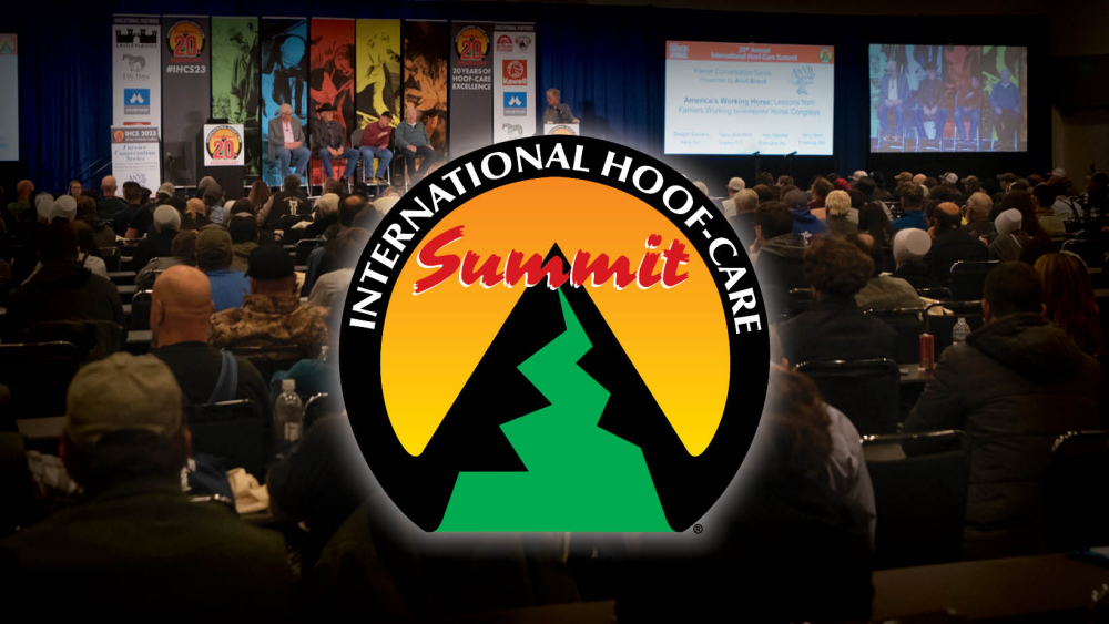 Summit logo.jpg