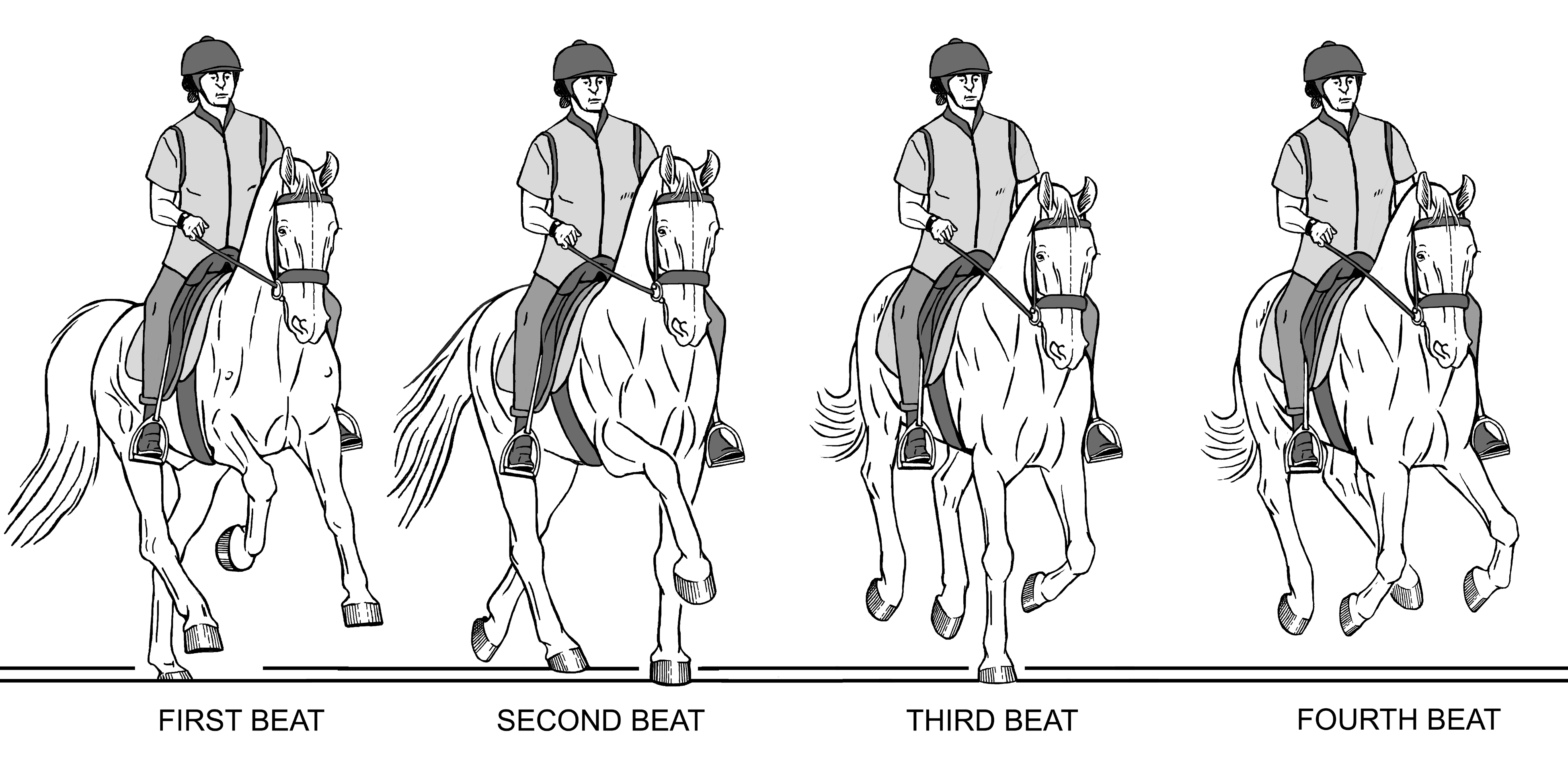 Fig 04 Canter from front 4 frames sm.jpg