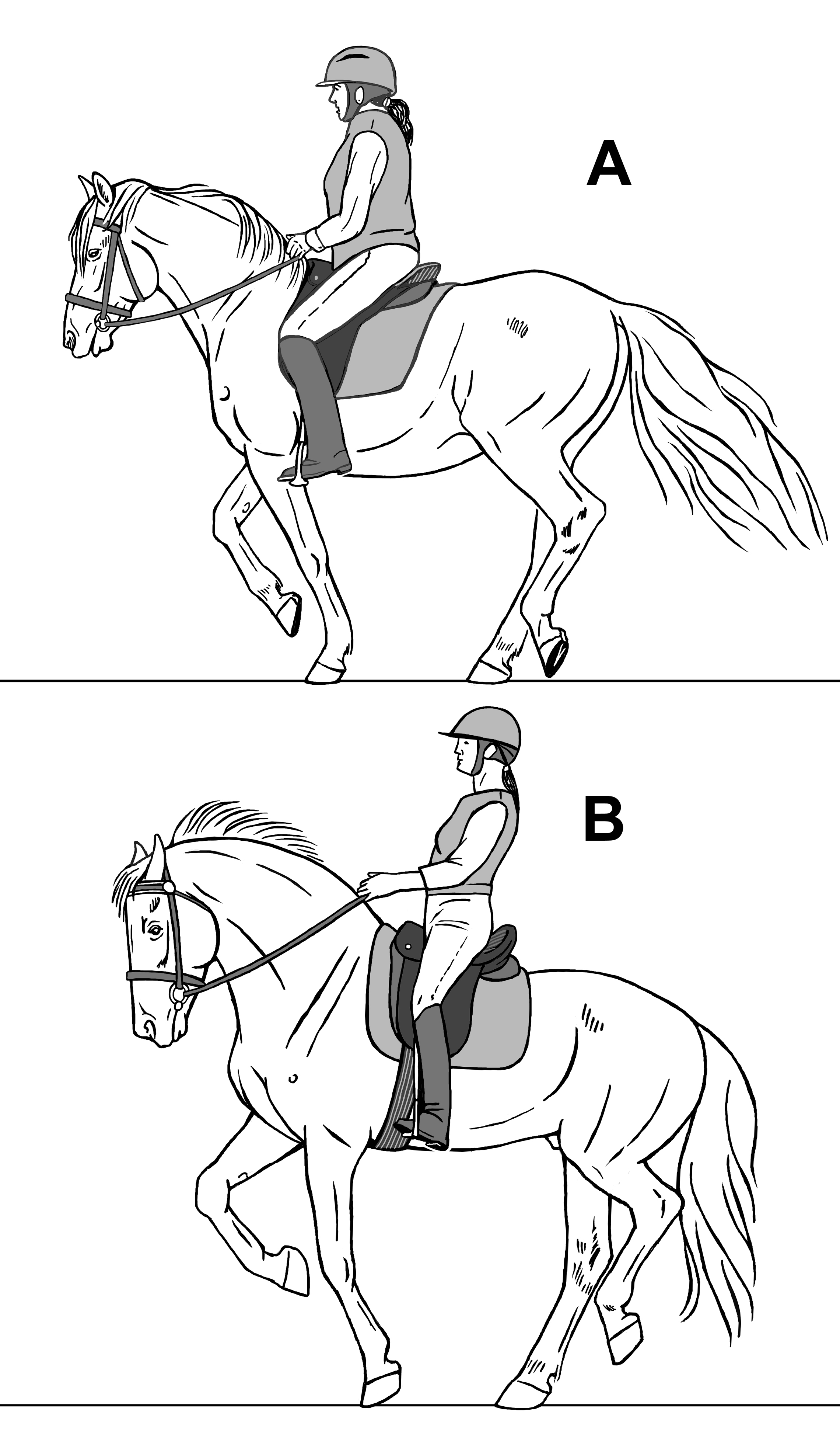 Fig 05 Canter Departure Liftoff to Beat 1 sm.jpg