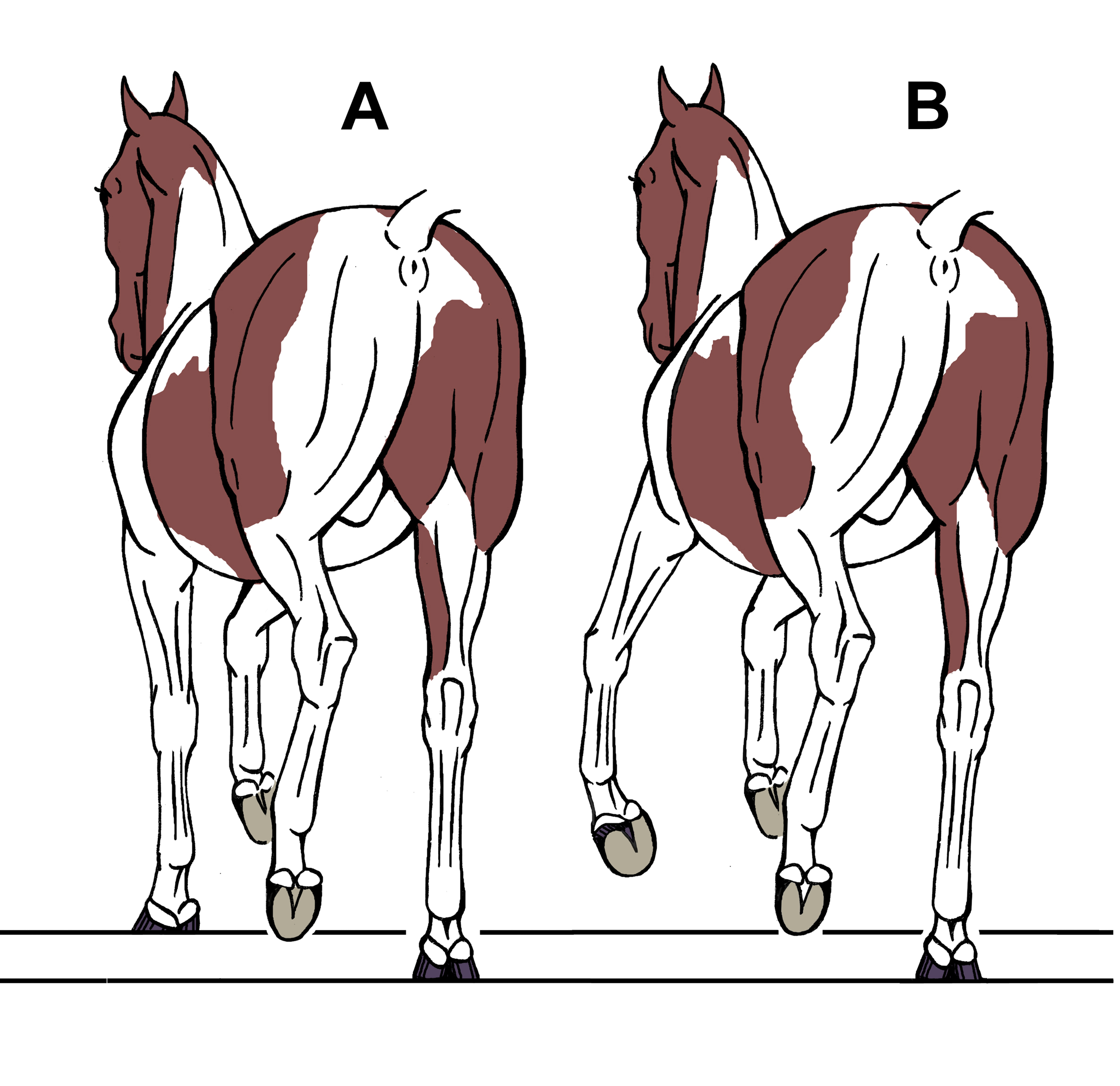 Fig 06 Depart trot to canter Painty sm.jpg
