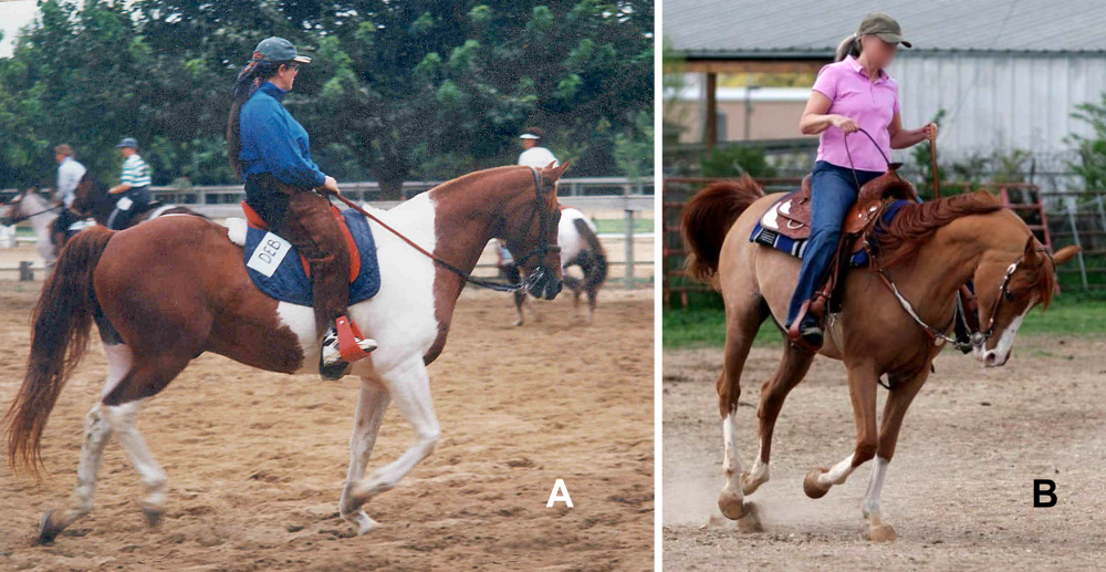Fig 08 Canter 3rd Beat Deb Painty vs Downhill sm_web.jpg