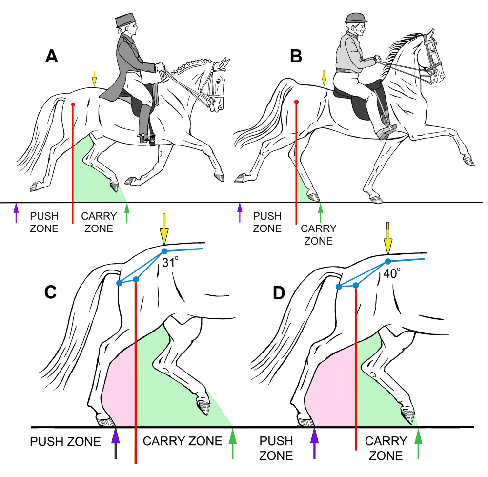 Fig 09 Push Thrust vs Carry Zone sm_web.jpg