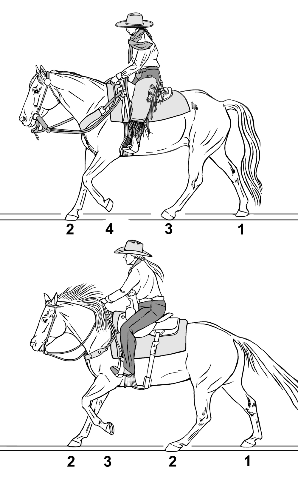 Fig 10 Canter in 4X Jope sm_web.jpg