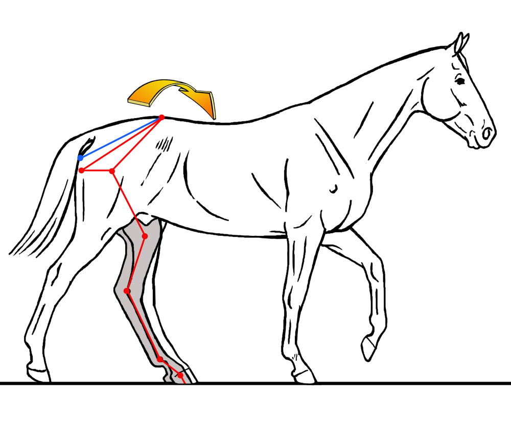 Fig 12 Canter Strikeoff after Seunig sm_web.jpg