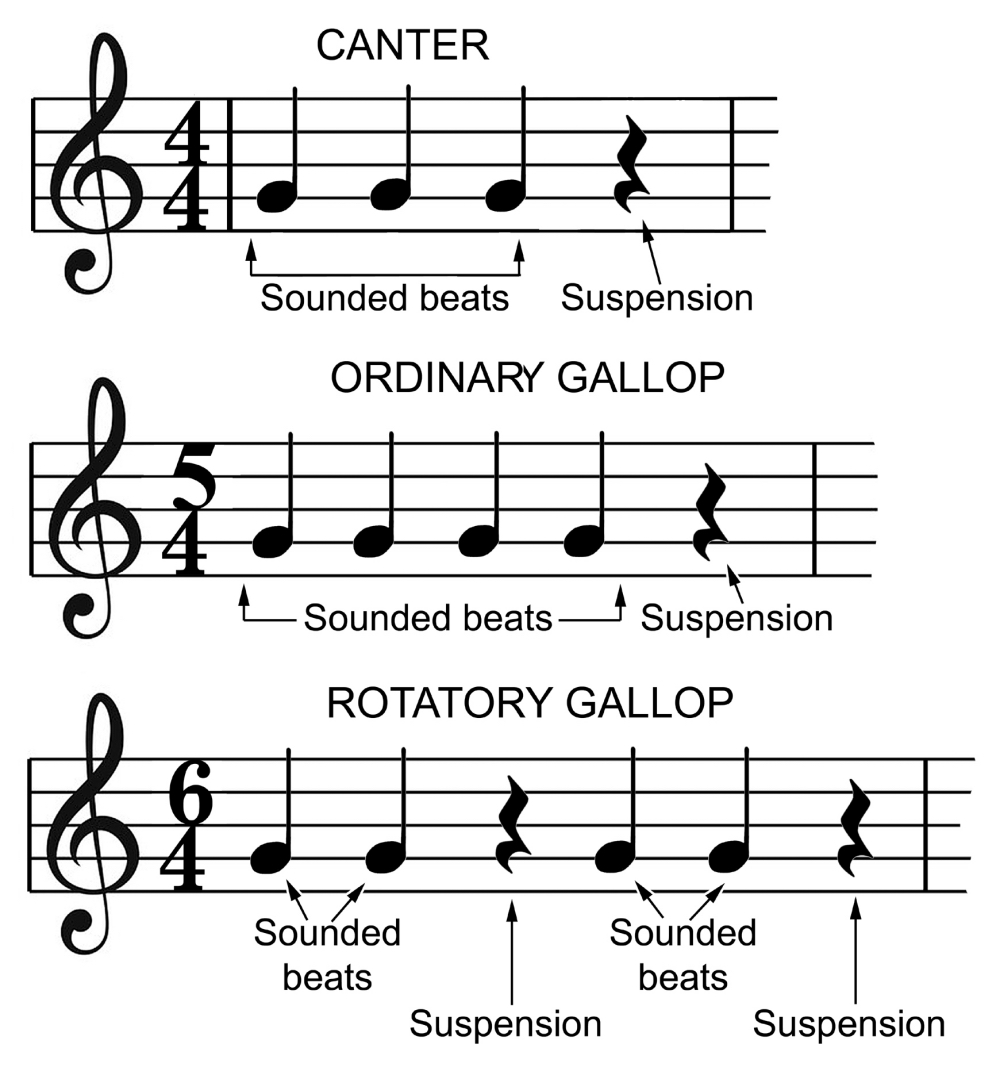 Fig 02 Musical notation for equine gallop 5X 6X sm_2.jpg