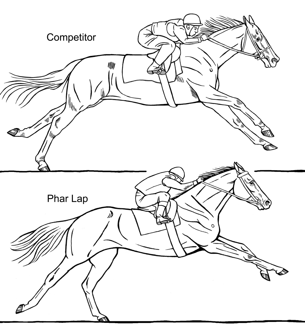 Fig 06 Phar Lap Flying Up sm_2.jpg